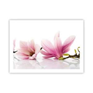 Poster - Delicate Like a Spring Breeze - 70x50 cm