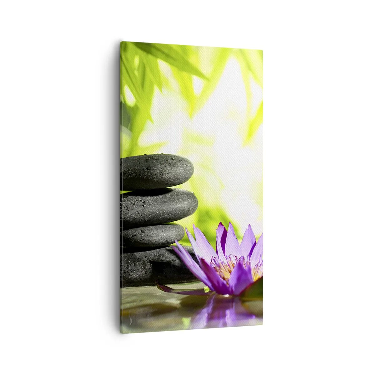 Canvas picture - In a Bamboo Grove - 55x100 cm