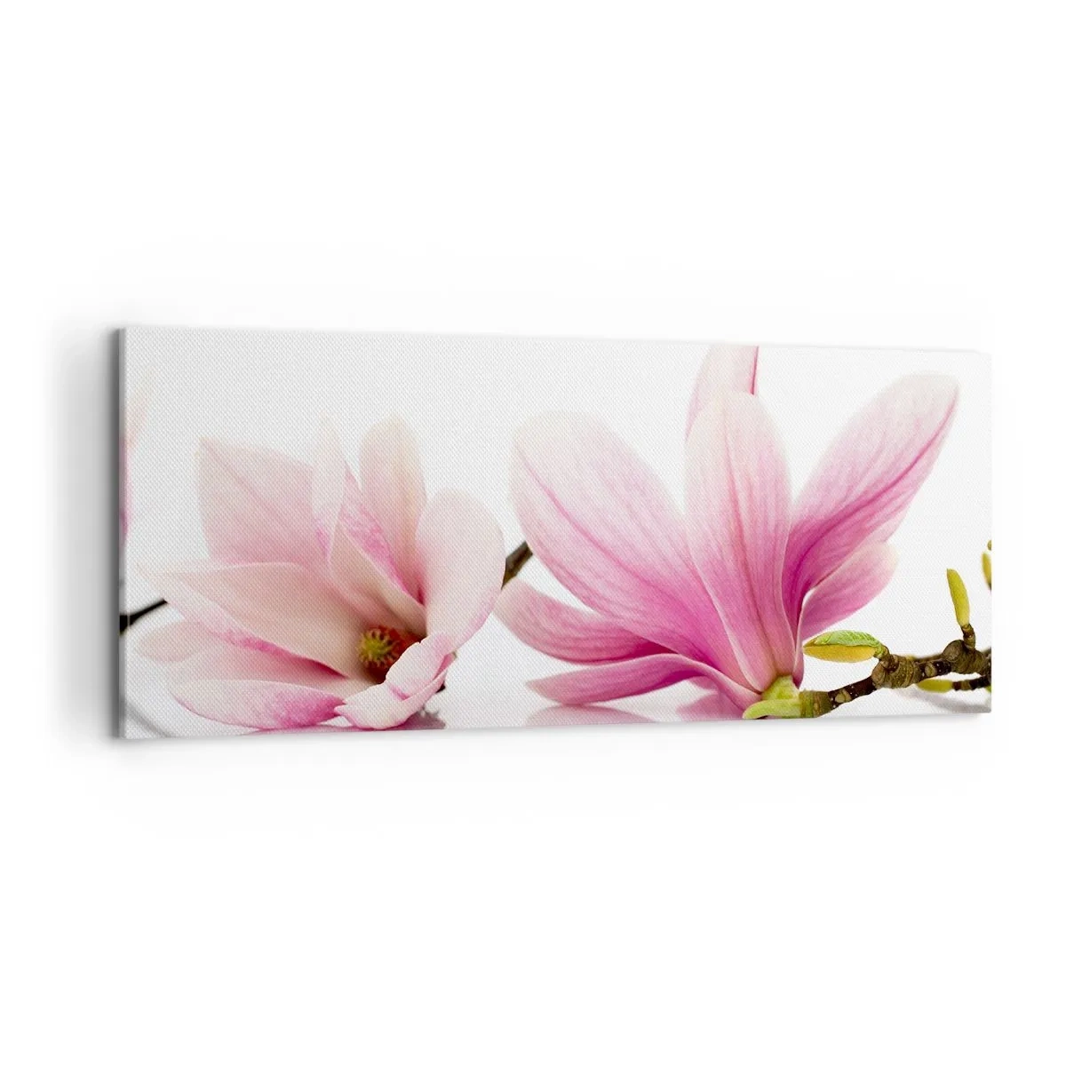 Canvas picture - Delicate Like a Spring Breeze - 100x40 cm