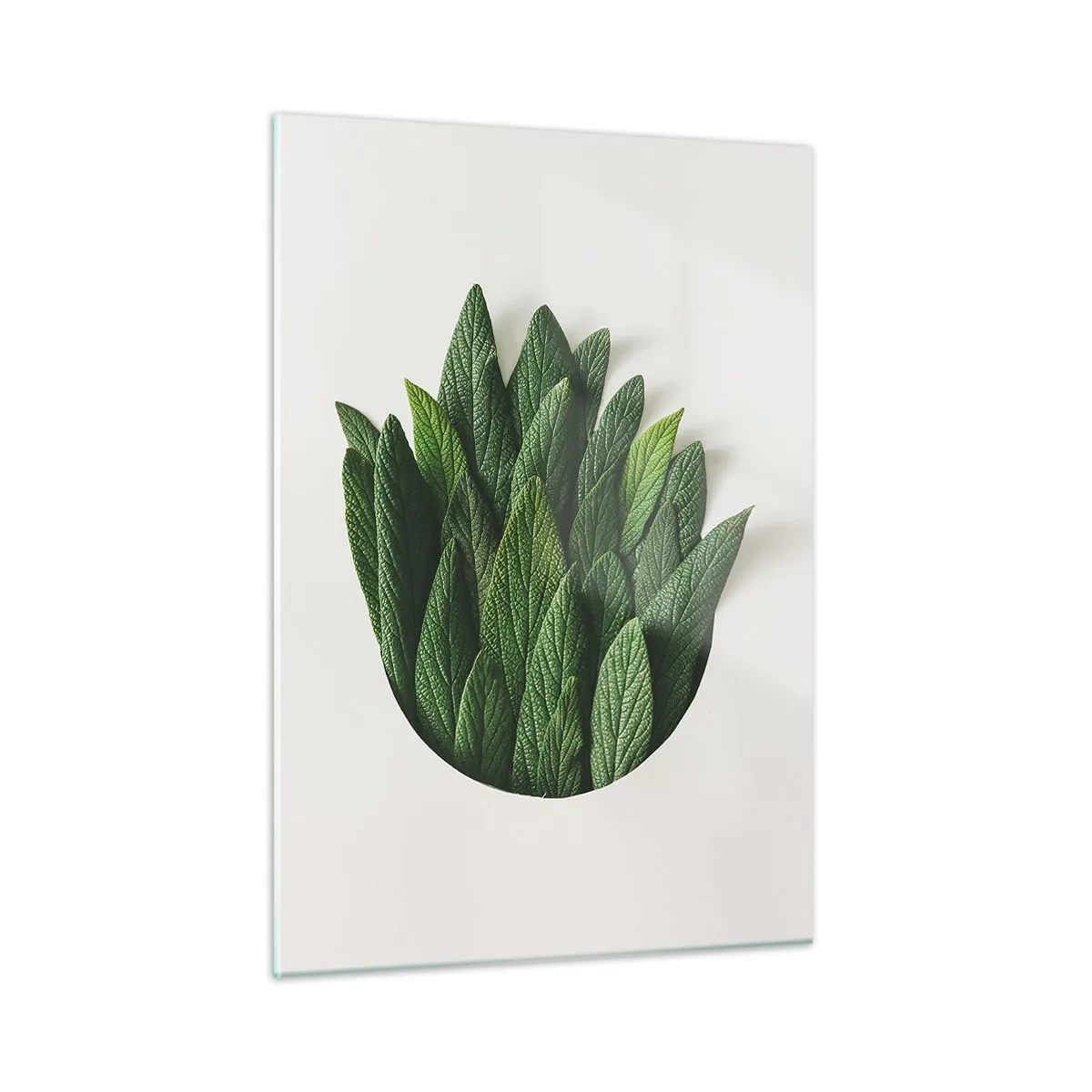 Glass picture - Untamed Curiosity - 50x70 cm