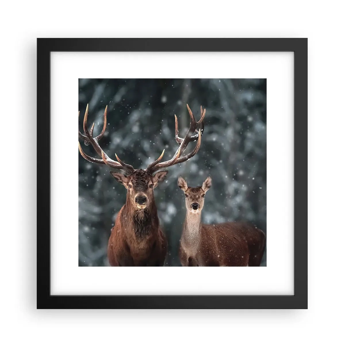 Poster in black frame - Master of the Forest with His Wife - 30x30 cm