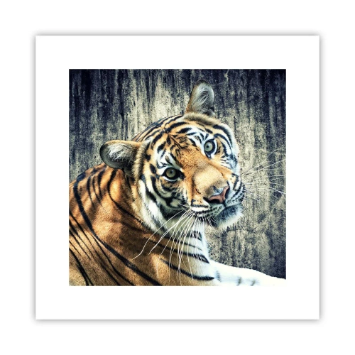 Poster - Portrait in Rays of Light - 30x30 cm