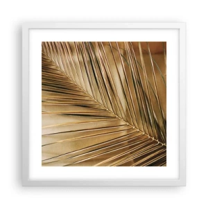 Poster in white frmae - Natural Colonnade - 40x40 cm