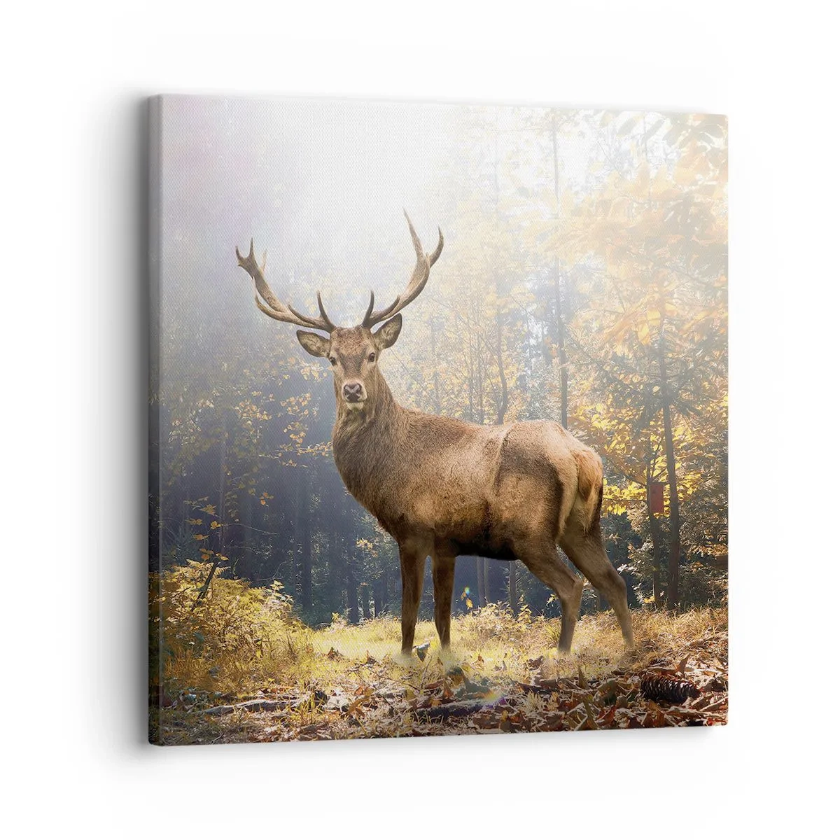Canvas picture - In Full Majesty - 30x30 cm