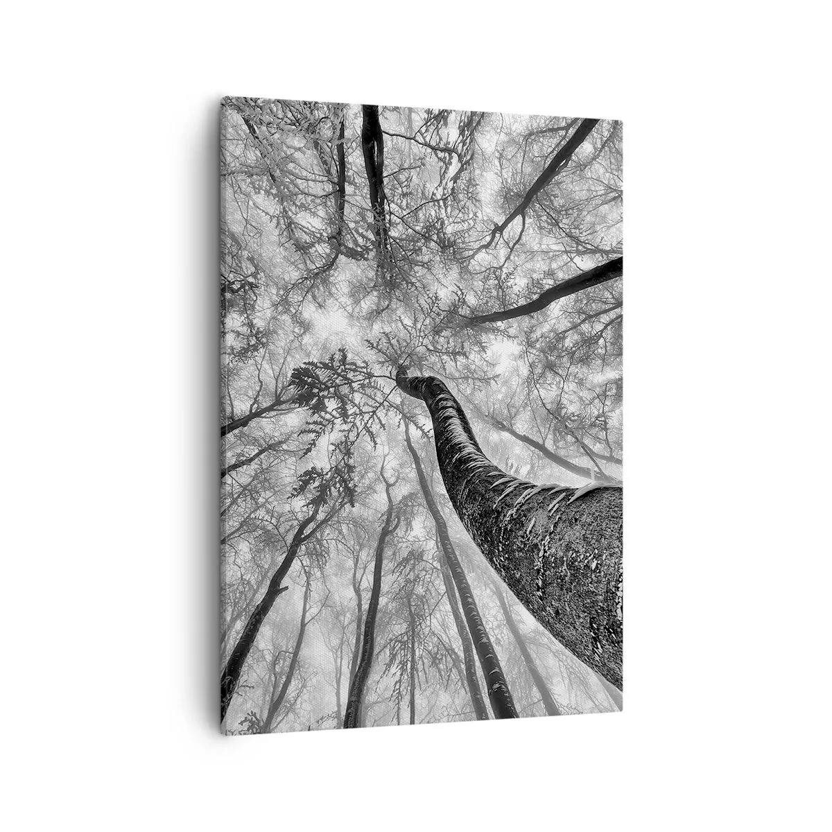 Canvas picture - Race for the Light - 50x70 cm