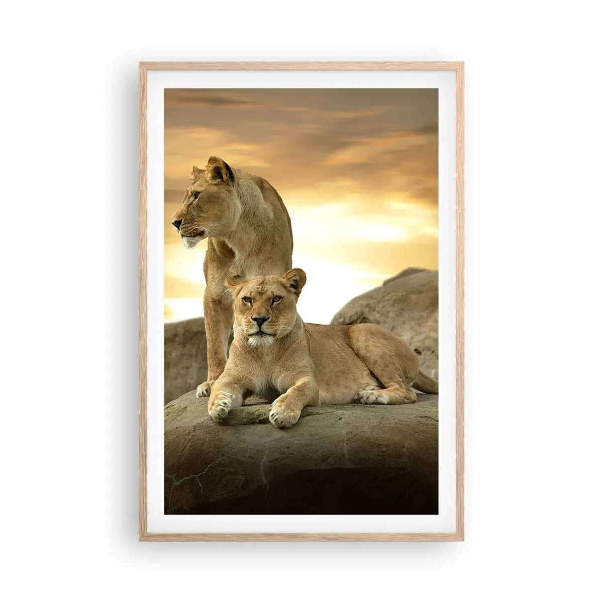 Poster in light oak frame - Royal Majesty - 61x91 cm