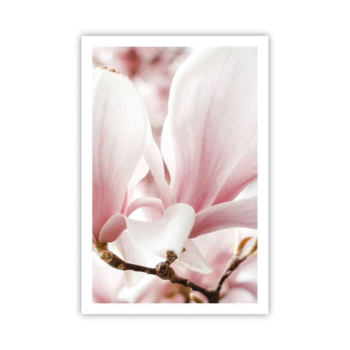 Poster - Immensity of Tenderness - 61x91 cm