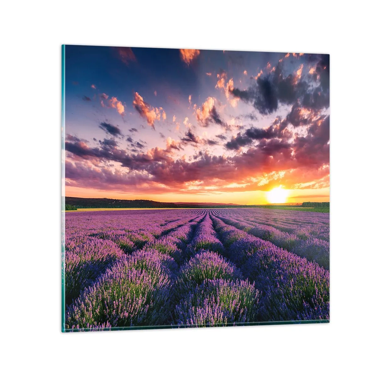 Glass picture - Lavender World - 30x30 cm