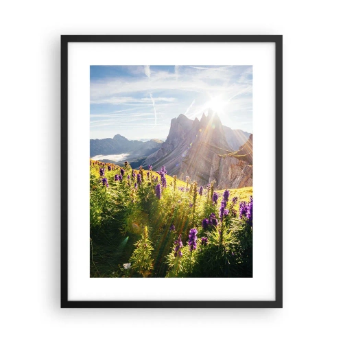 Poster in black frame - Secret Life of Herbs - 40x50 cm