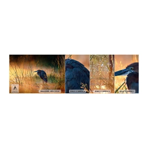 Photo Wallpaper Sample Self-Adhesive Deluxe Sticker - Stop Taking Pictures - Heron, Bird, Nature - 100x30 cm