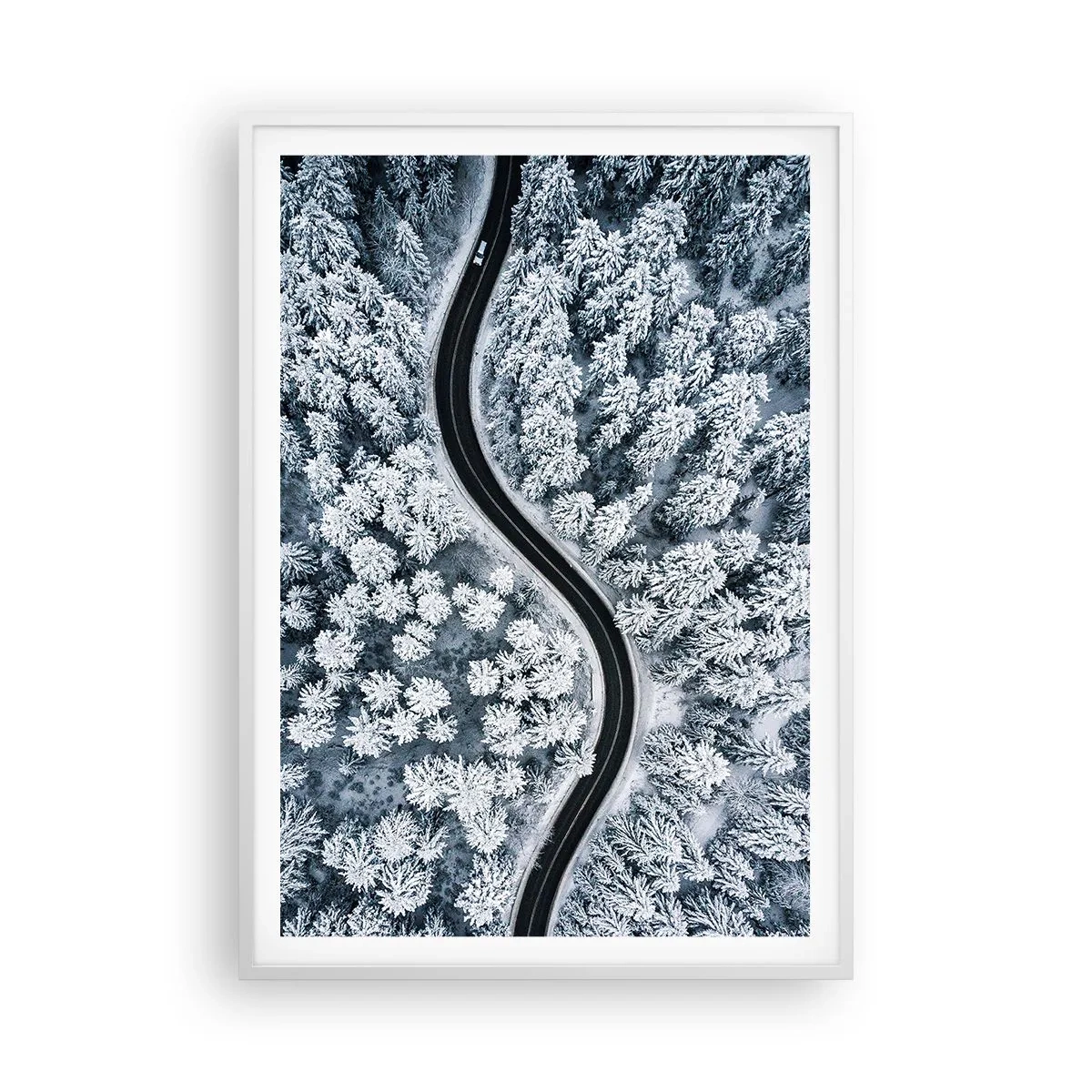 Poster in white frmae - Through Wintery Forest - 70x100 cm