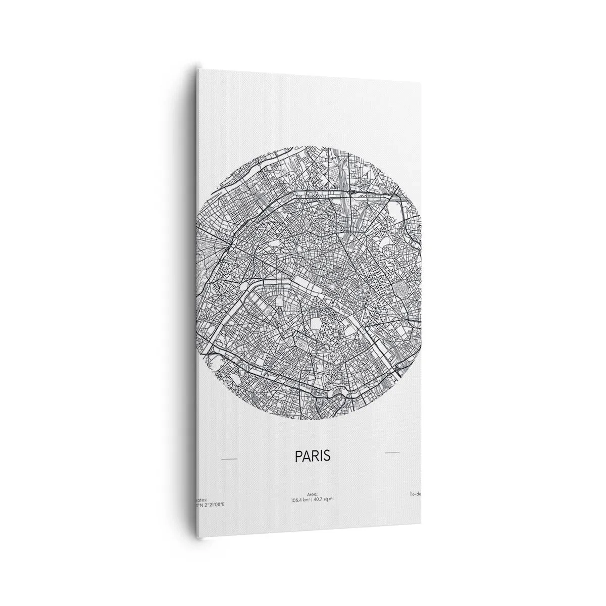 Canvas picture - Anatomy of Paris - 65x120 cm