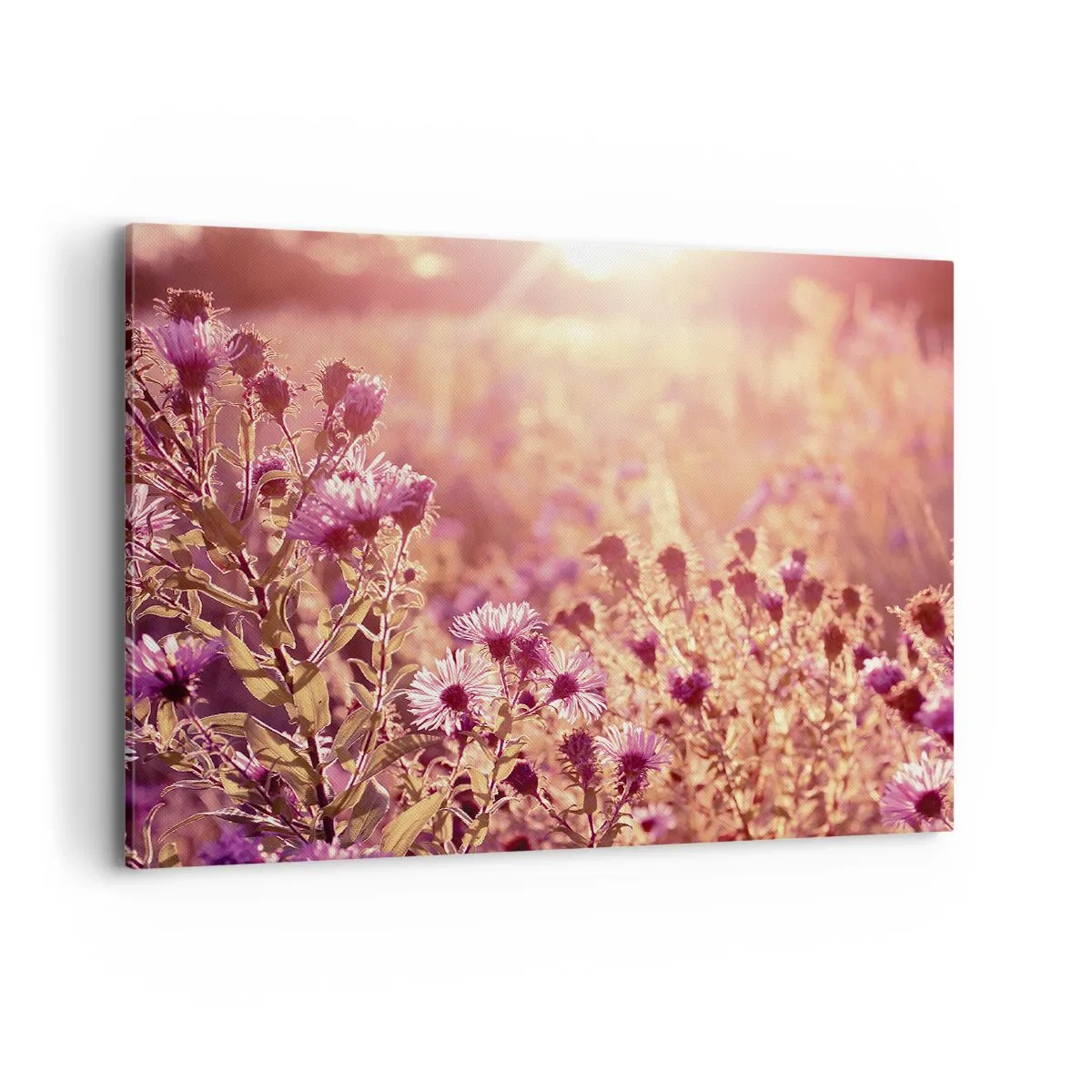 Canvas picture - Before Summer Goes - 100x70 cm