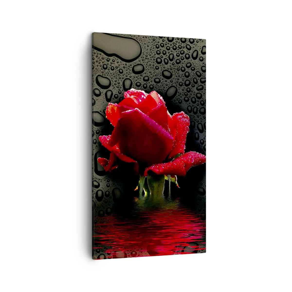 Canvas picture - Red and Black - 45x80 cm