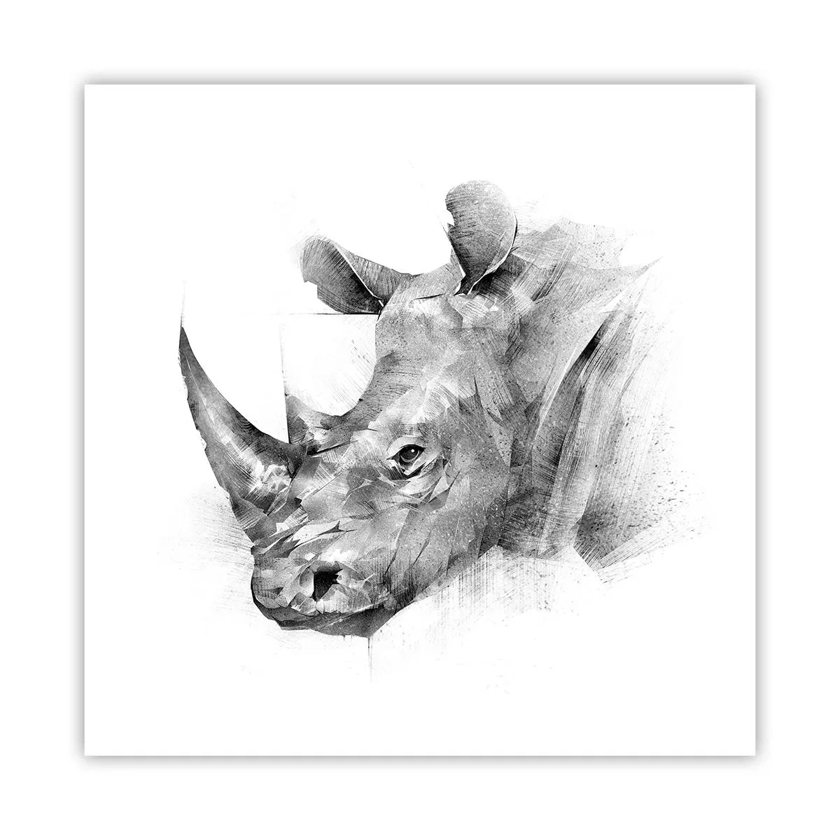 Poster - African Portrait - 60x60 cm