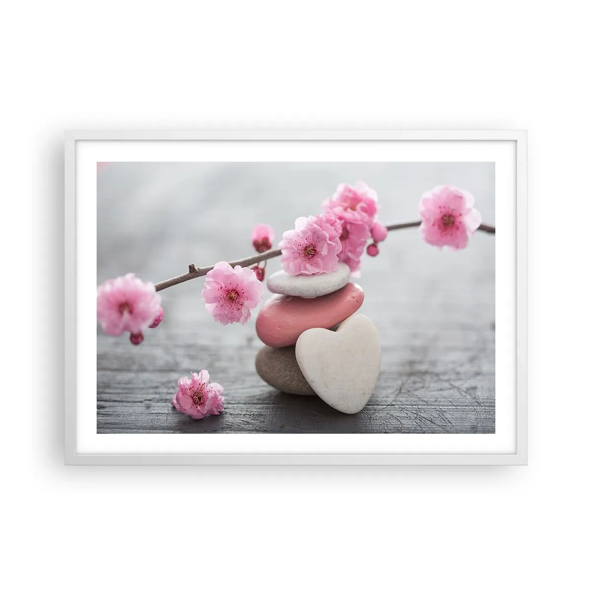 Poster in white frmae - Bliss with Cherry Blossom - 70x50 cm
