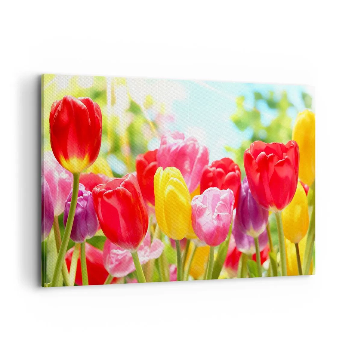 Canvas picture - It is Us, Colour of May! - 120x80 cm