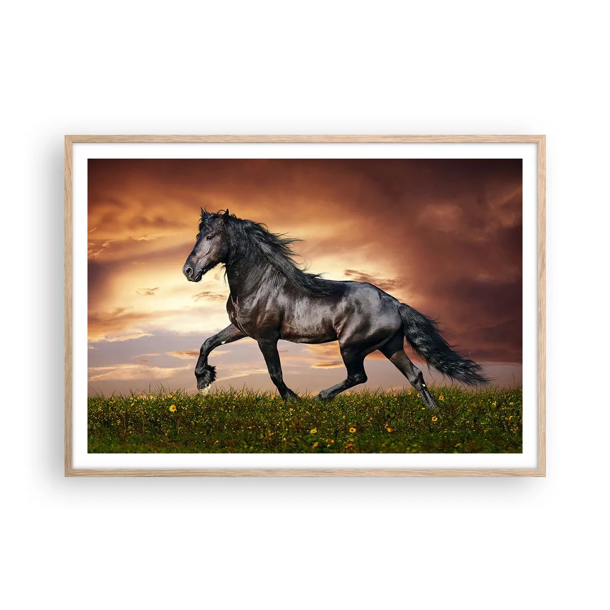 Poster in light oak frame - Black Prince - 100x70 cm