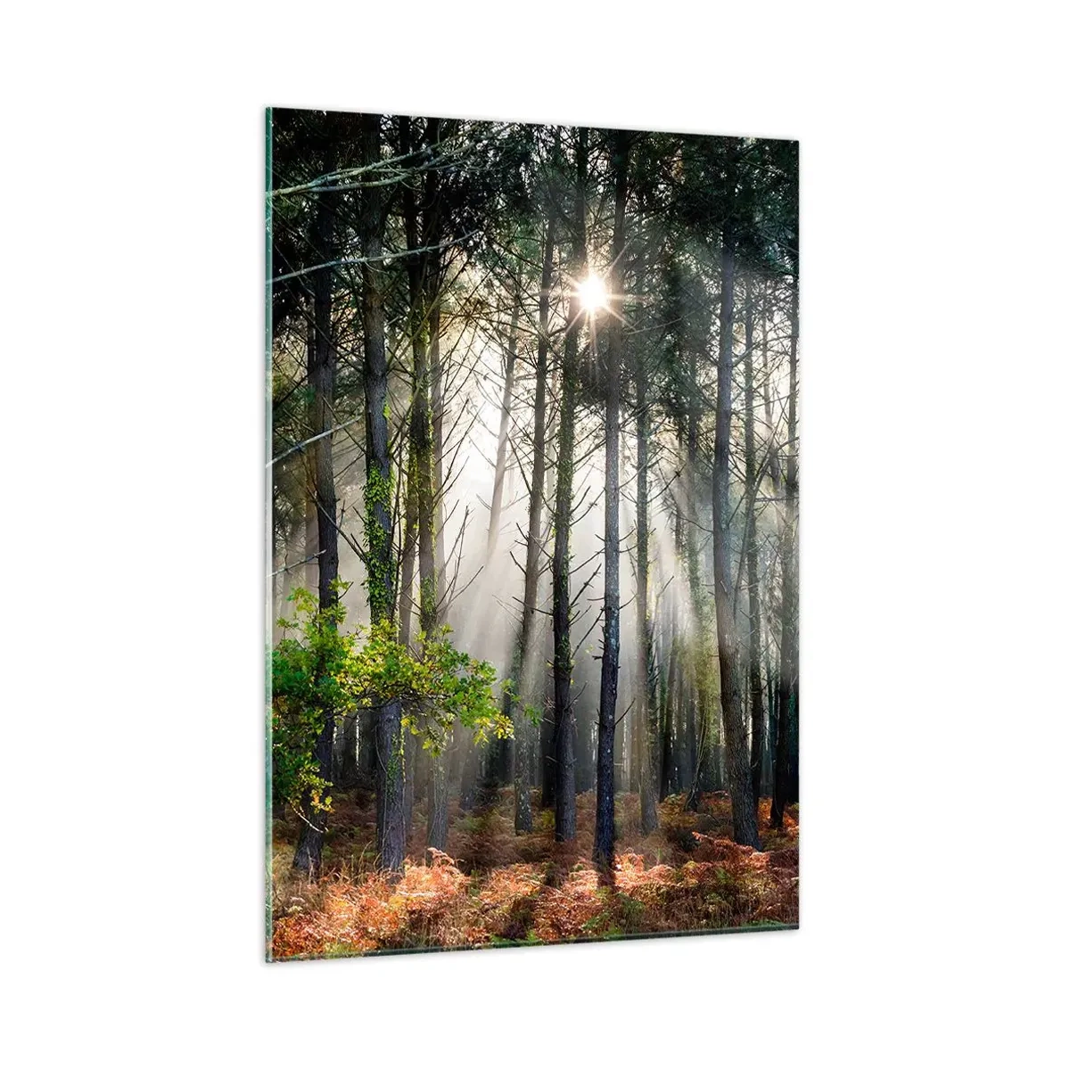 Glass picture - Woodland Area - 50x70 cm