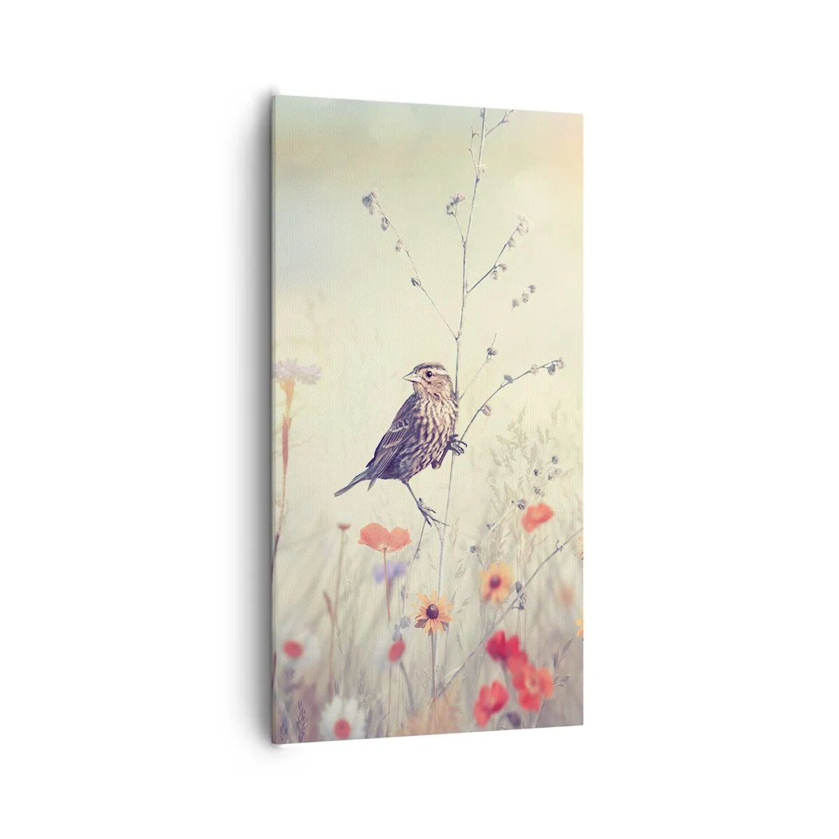 Canvas picture - Bird Portrait with a Meadow in the Background - 65x120 cm