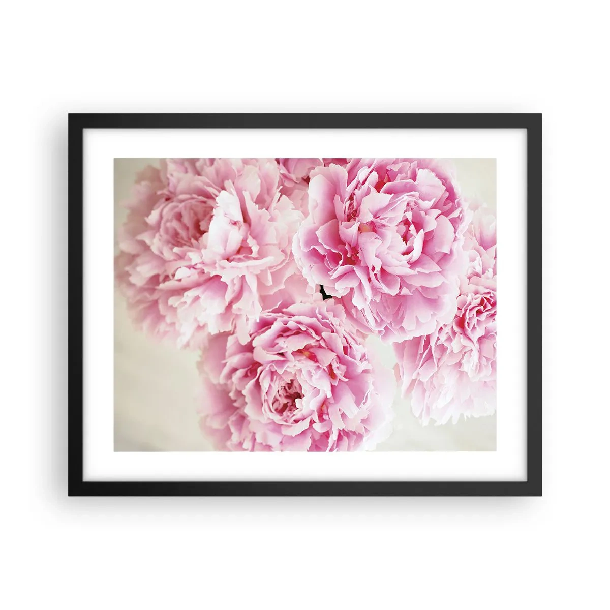 Poster in black frame - In Pink Splendour - 50x40 cm