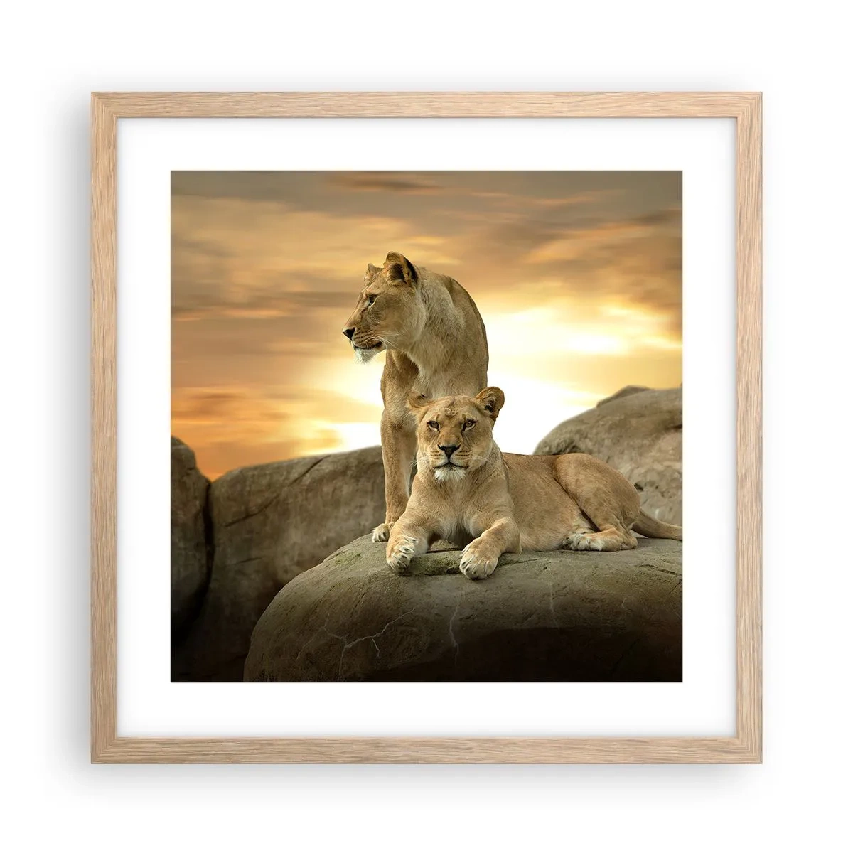 Poster in light oak frame - Royal Majesty - 40x40 cm