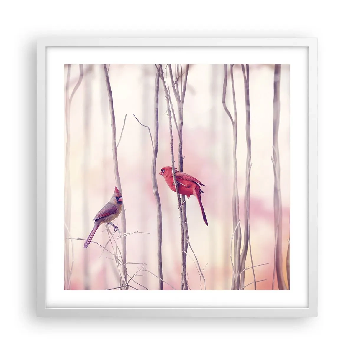 Poster in white frmae - Tale of a Pink Forest - 50x50 cm