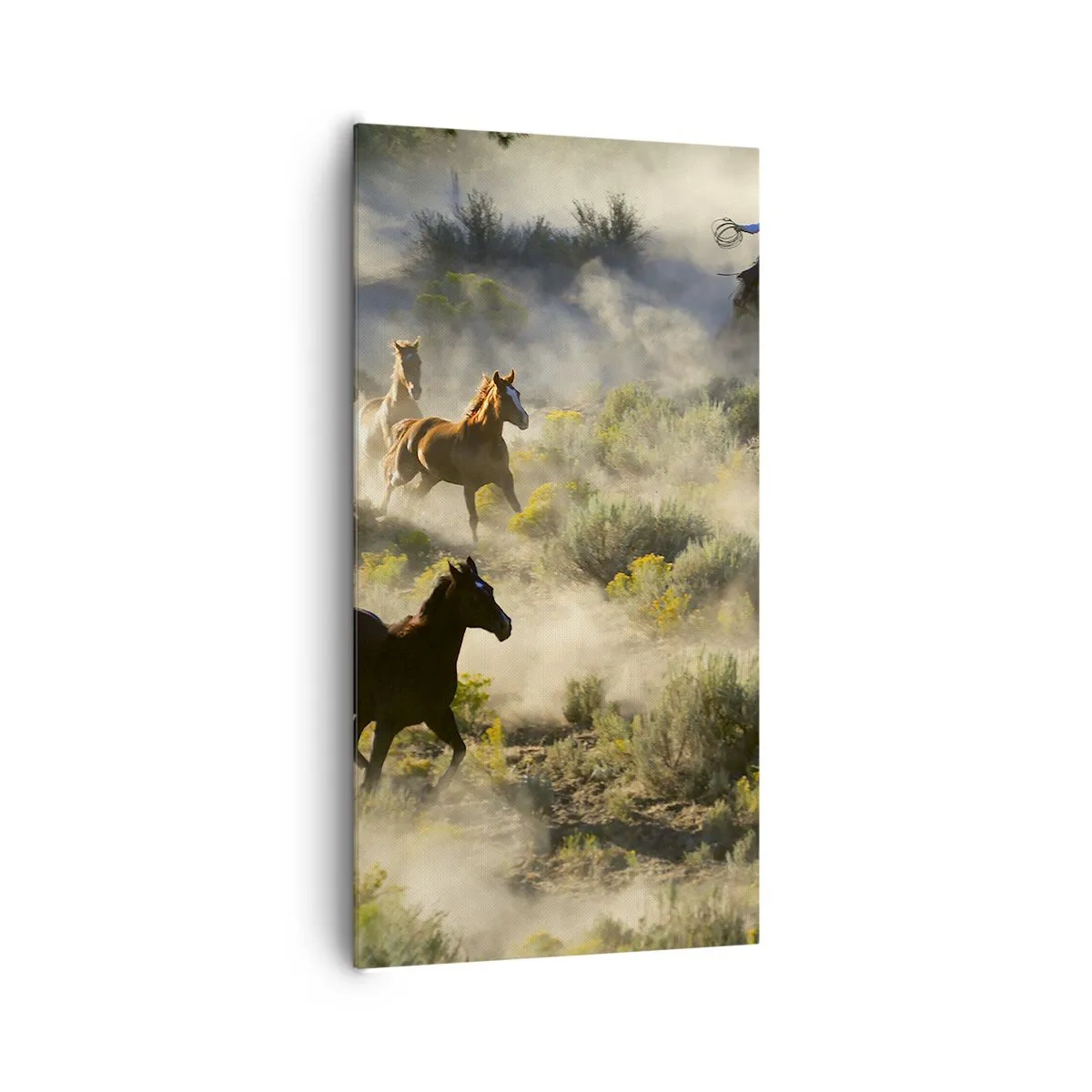 Canvas picture - Rivalry - Freedom or Man Power? - 65x120 cm