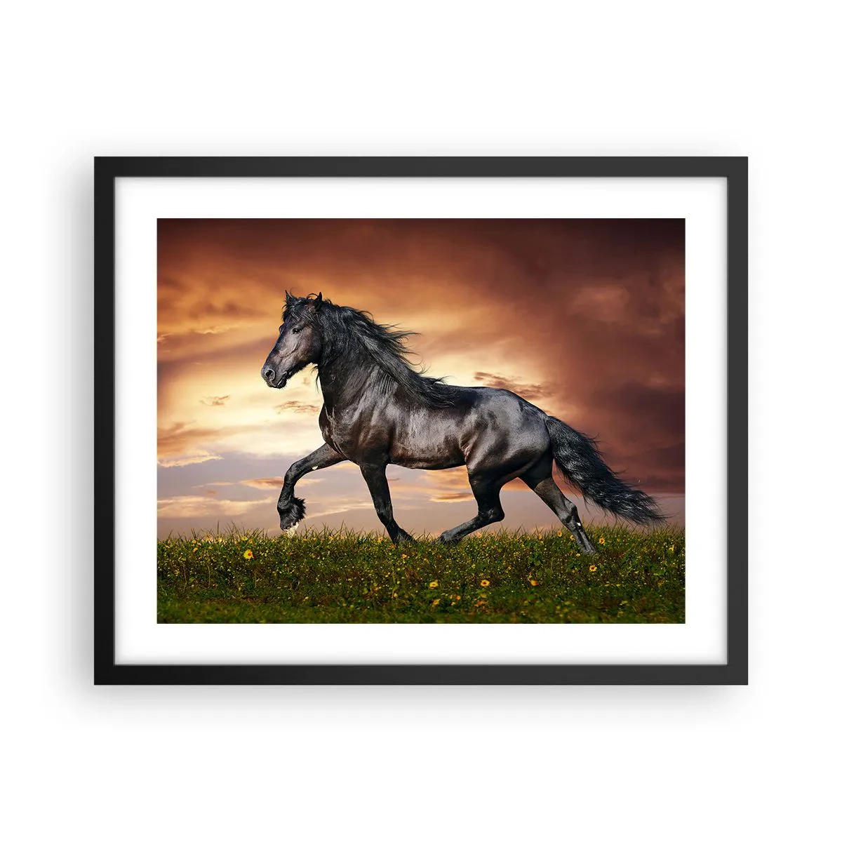 Poster in black frame - Black Prince - 50x40 cm