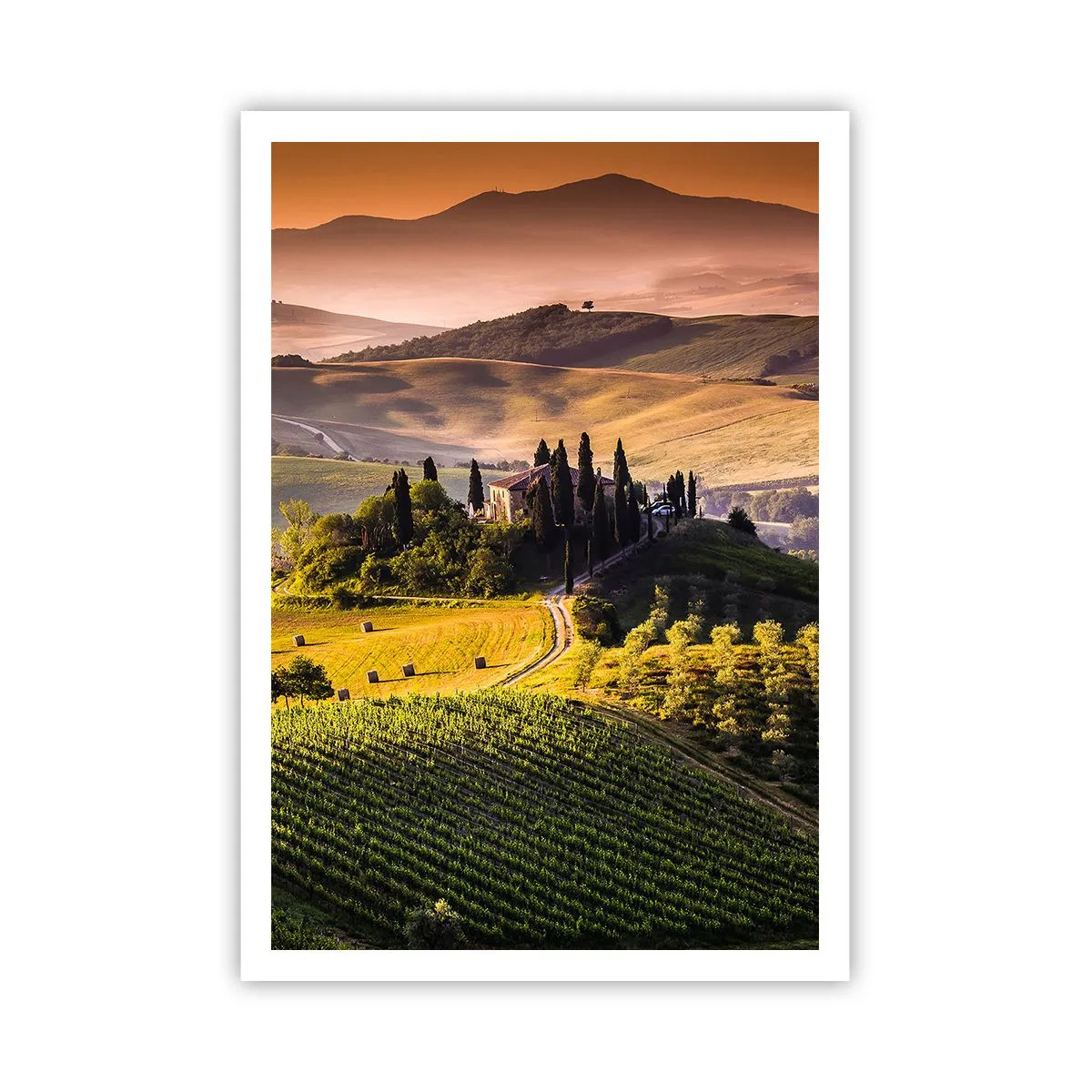 Poster - Arcadia - Tuscan Landscape - 70x100 cm