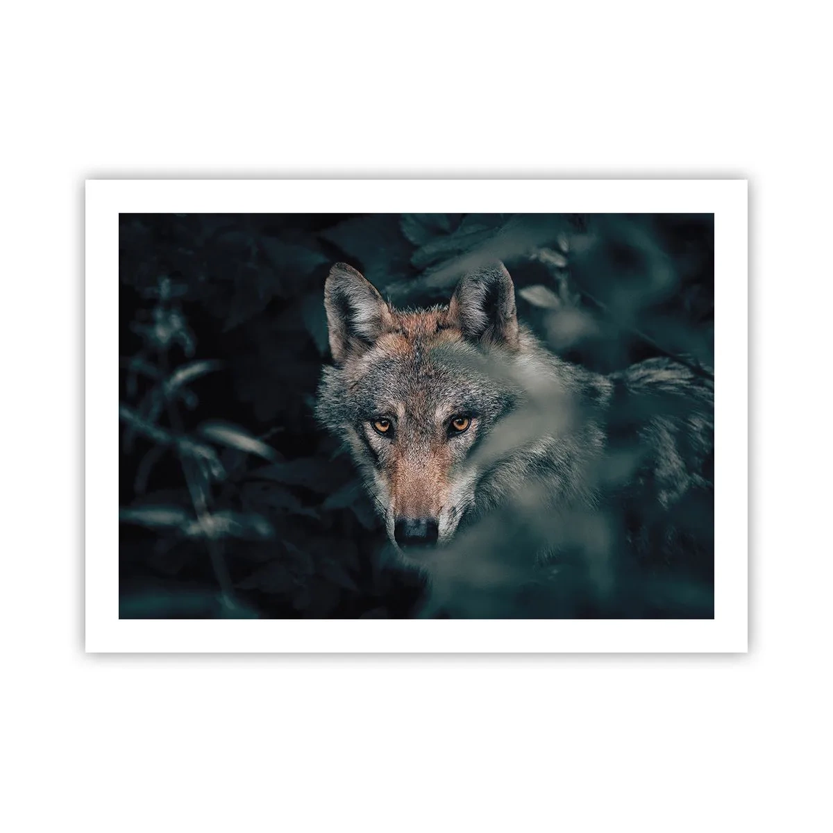 Poster - Hunter - 70x50 cm