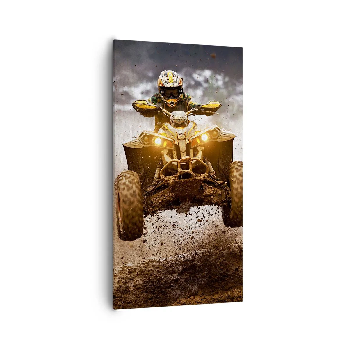 Canvas picture - No Risk No Fun - 65x120 cm