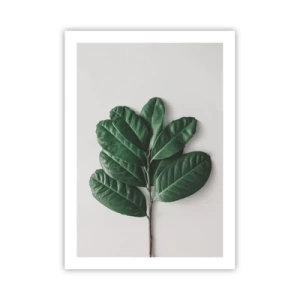 Poster - Drawing of Nature Itself - 50x70 cm