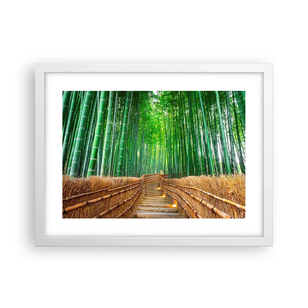 Poster in white frmae - Essence of Asian Nature - 40x30 cm