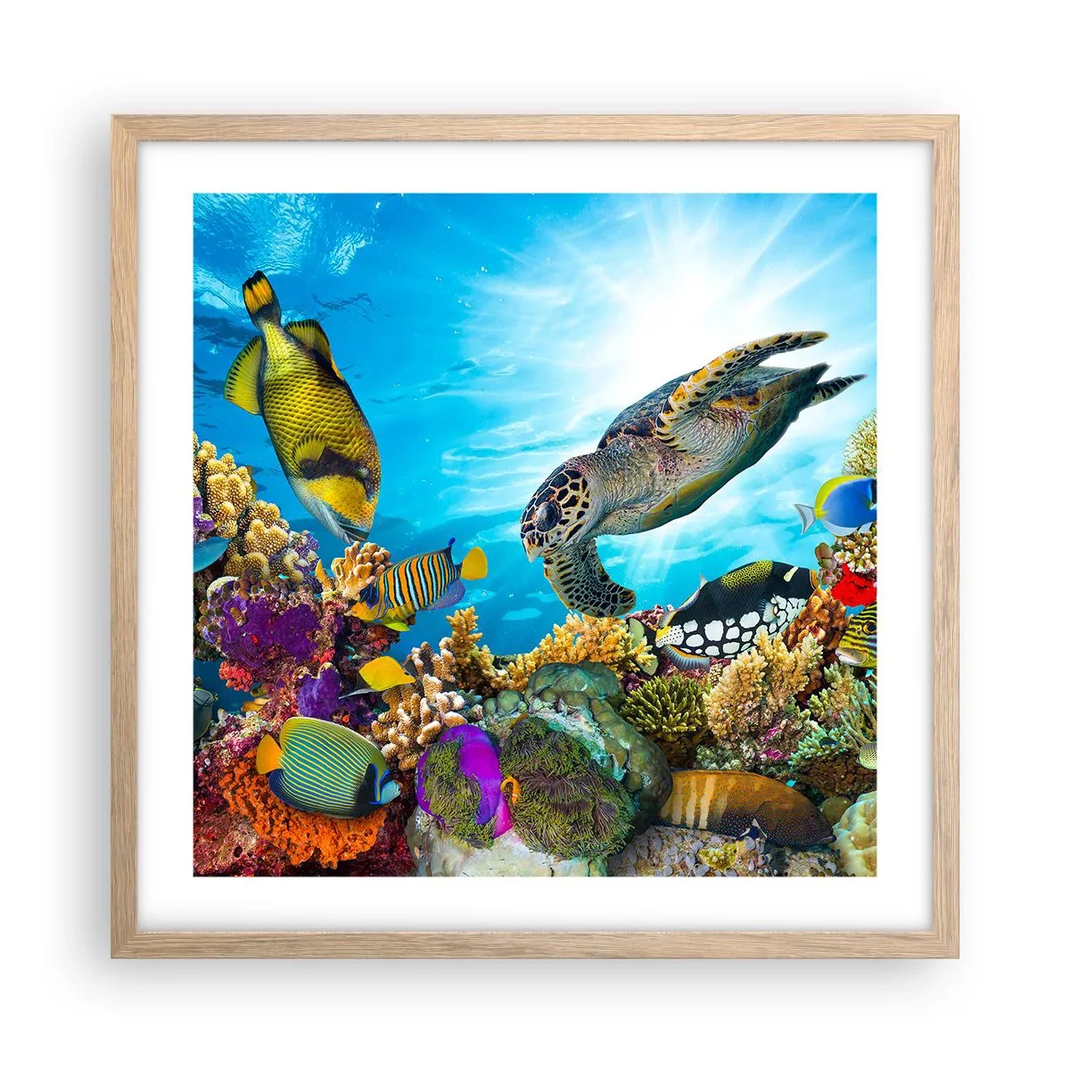 Poster in light oak frame - Coral Promenade - 50x50 cm