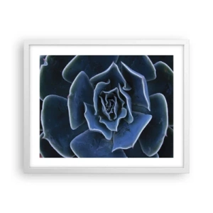 Poster in white frmae - Flower of the Desert - 50x40 cm