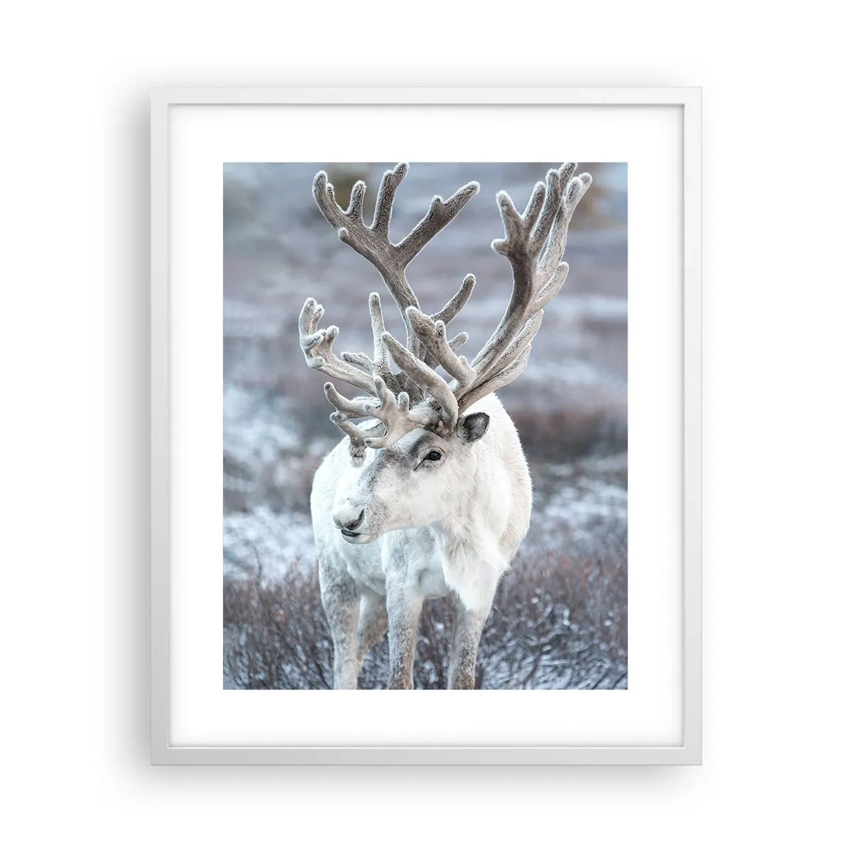 Poster in white frmae - Portrait in the Sun - 40x50 cm