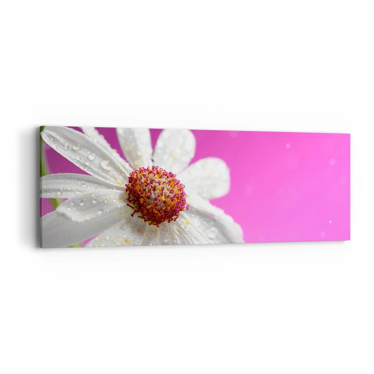 Canvas picture - Modest in Its Beauty - 90x30 cm