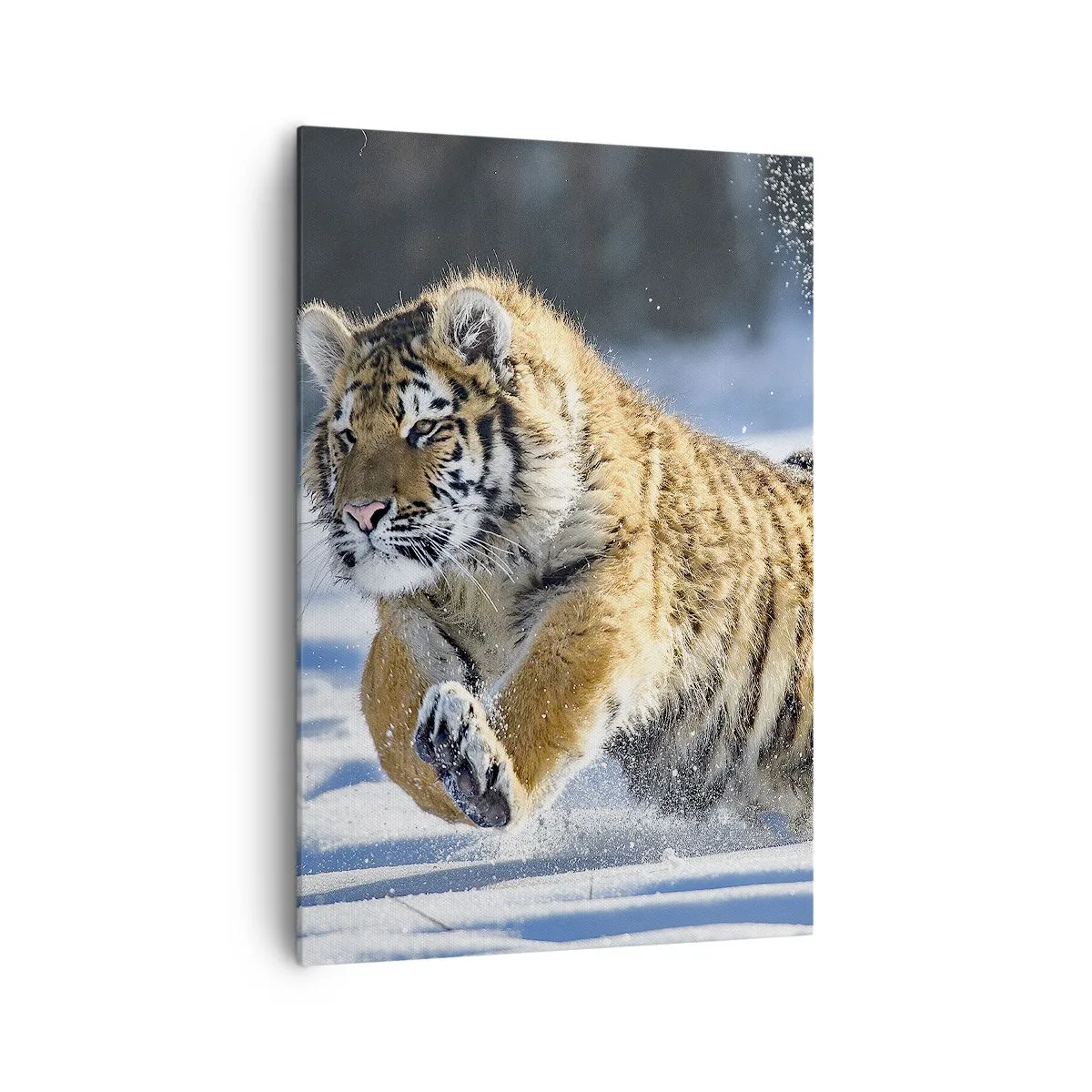 Canvas picture - God of Siberian Taiga - 70x100 cm