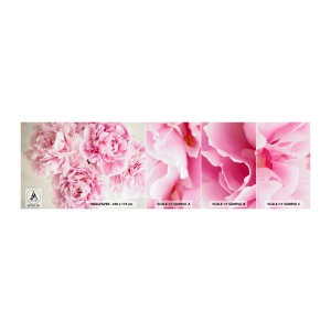 Photo Wallpaper Sample Self-Adhesive Deluxe Sticker - In Pink  Splendour - Peonies, Bouquet of flowers, Flowers - 100x30 cm