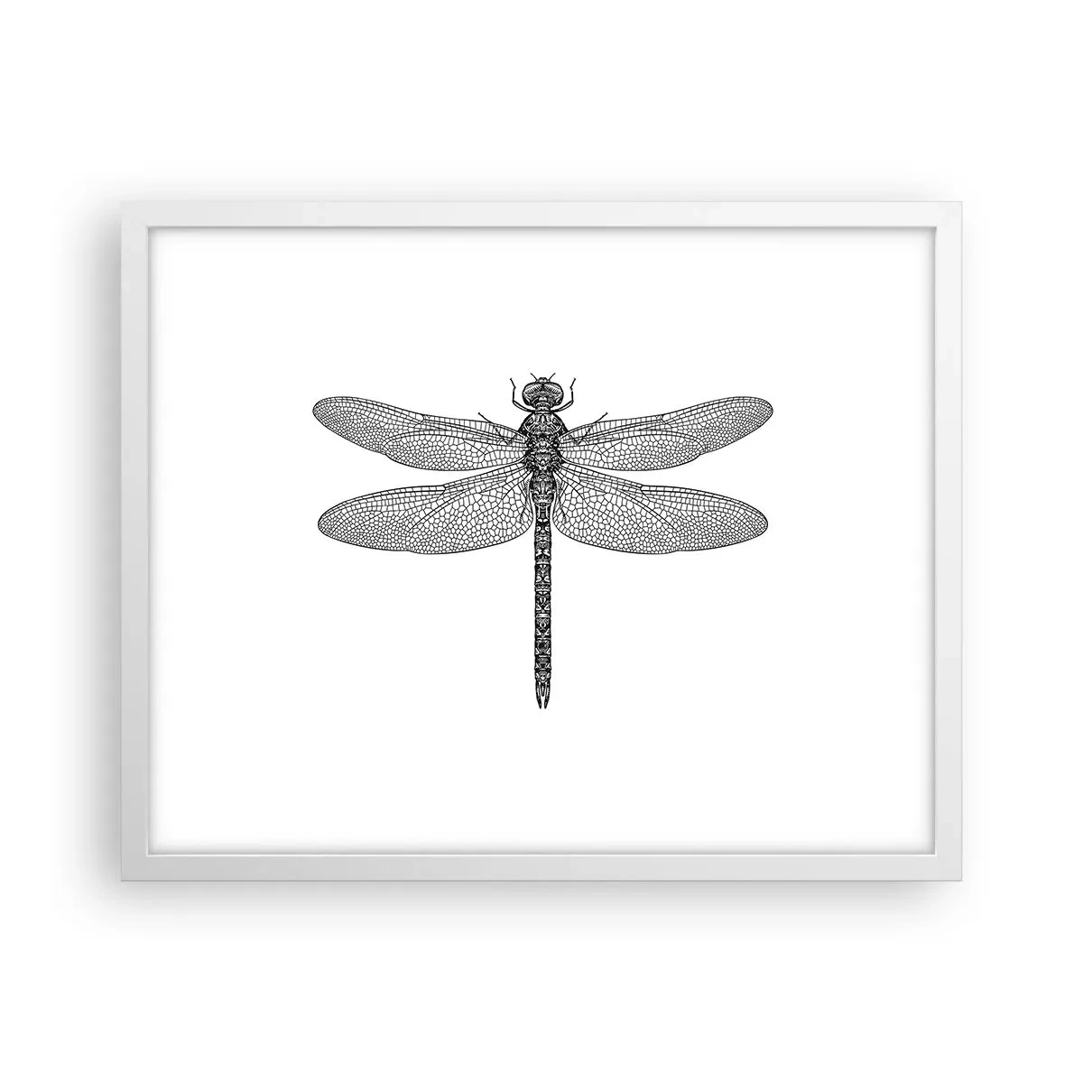 Poster in white frmae - Precision of Nature - 50x40 cm