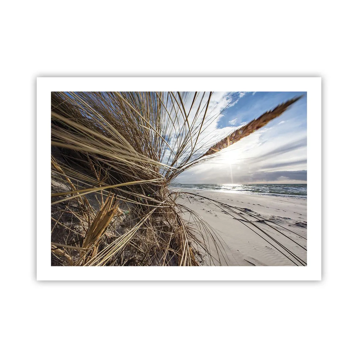 Poster - Enounter of the Elements - 70x50 cm