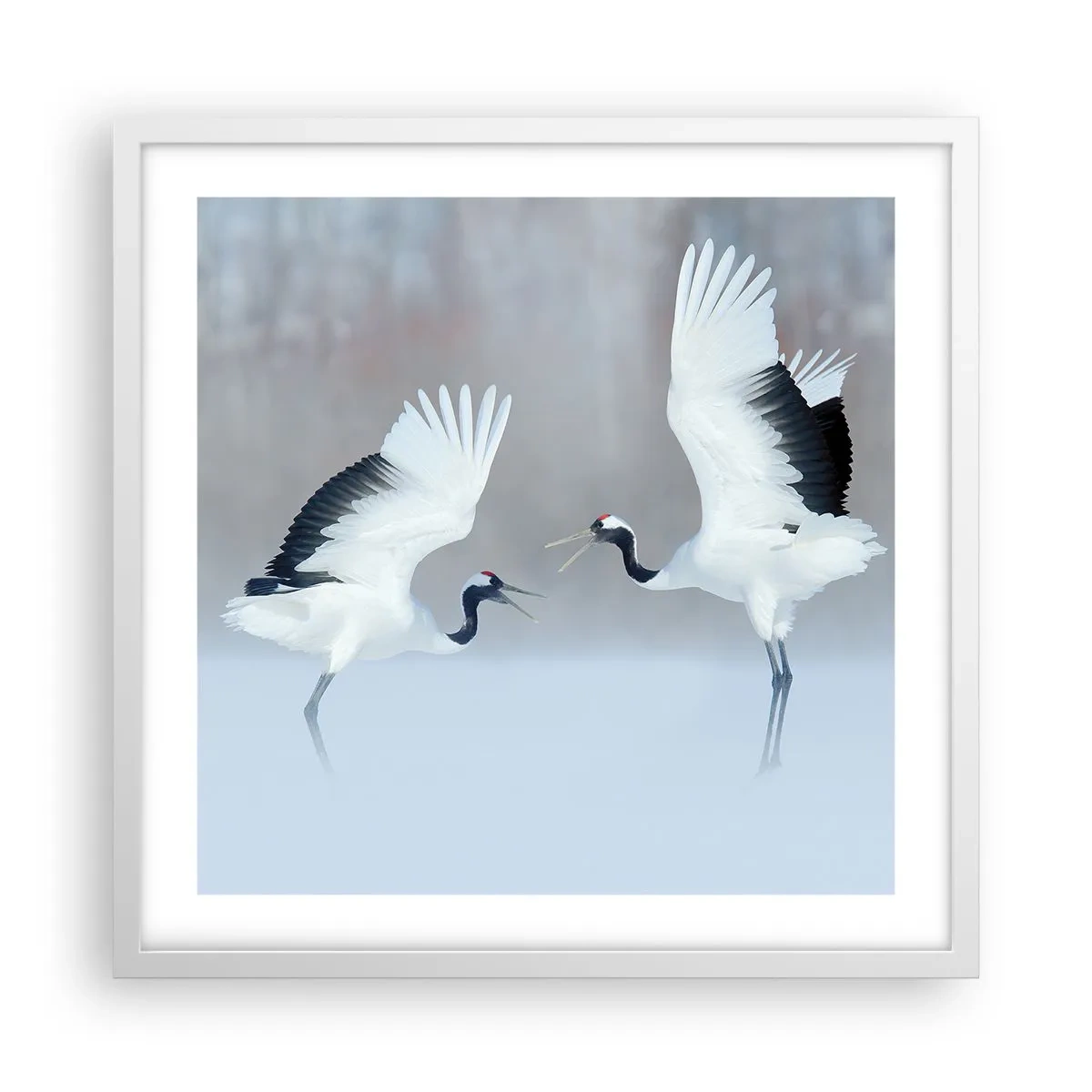 Poster in white frmae - Dance in the Fog - 50x50 cm