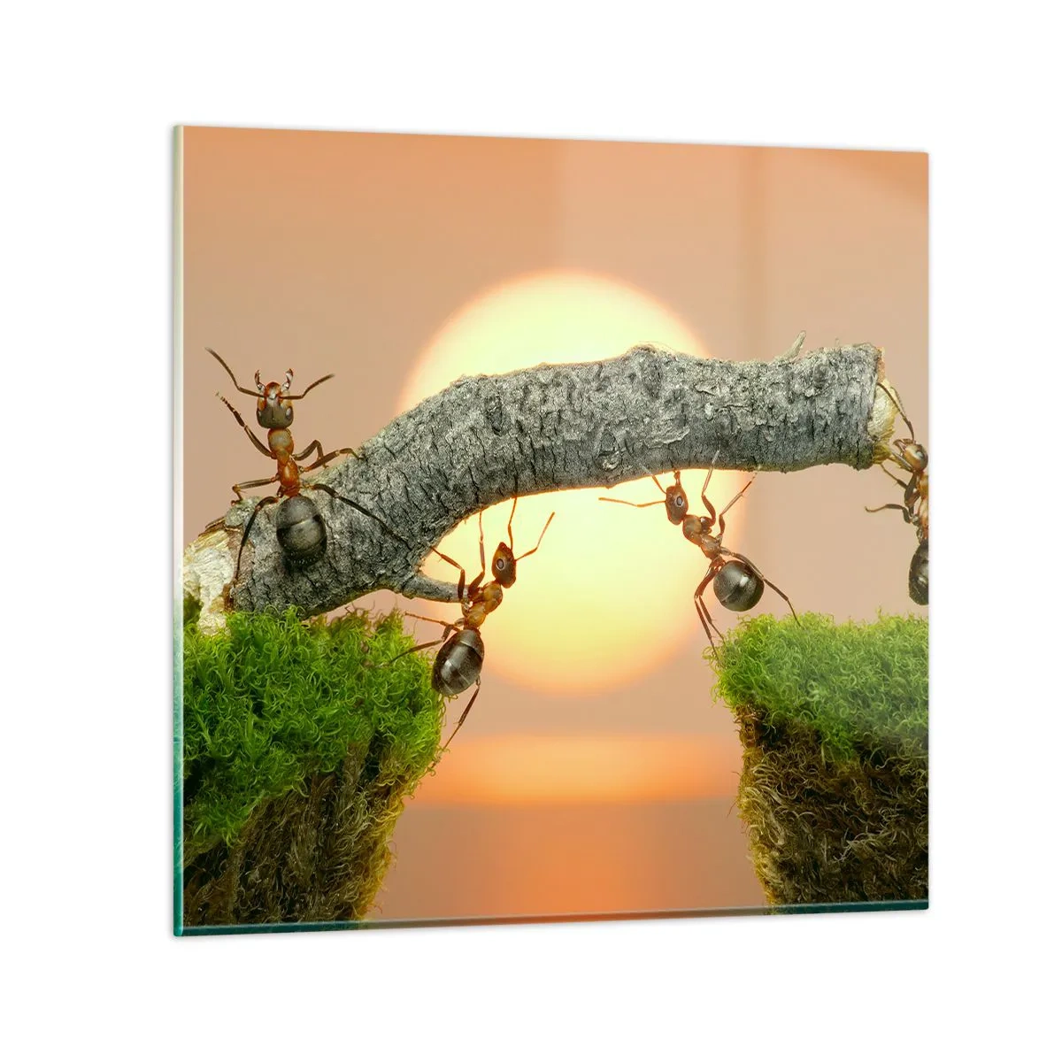 Glass picture - Joyful, Mutual Work - 50x50 cm