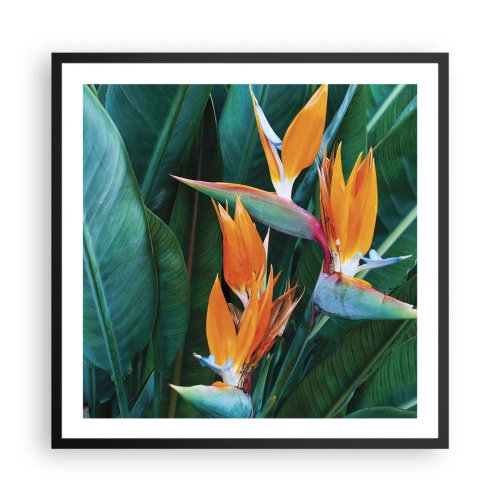 Poster in black frame - Is It a Flower or a Bird? - 60x60 cm
