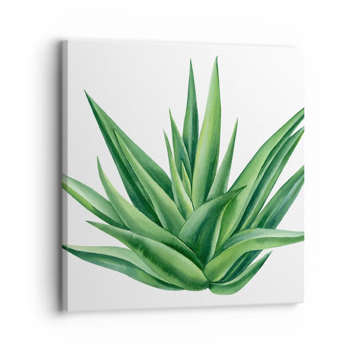 Canvas picture - Green - Power - Life - 30x30 cm
