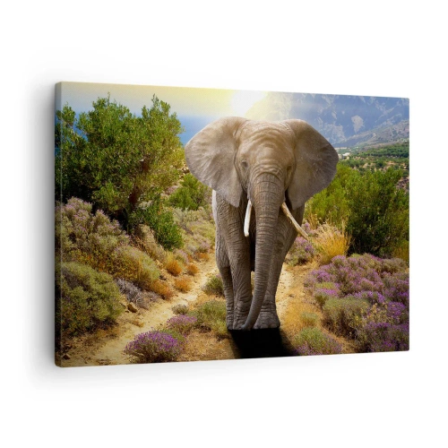 Canvas picture - An African elephant against a savannah and mountain landscape - 70x50cm - This is What Eden Looked Like - Modern wall decoration for the living room and bedroom ARTTOR