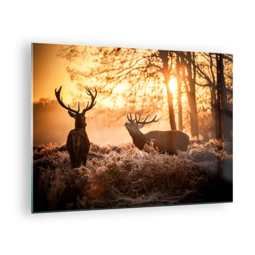Glass picture - Two deer in a forest scene at sunrise - 70x50cm - Hunter's Dream - Modern wall decoration for the living room and bedroom ARTTOR