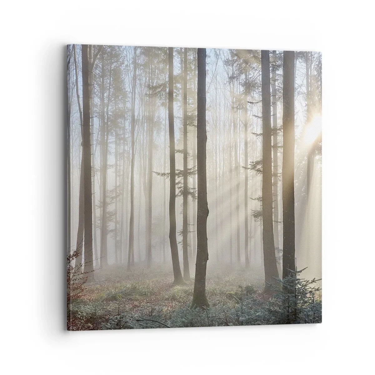 Canvas picture - Fog Has Woken up Too - 70x70 cm