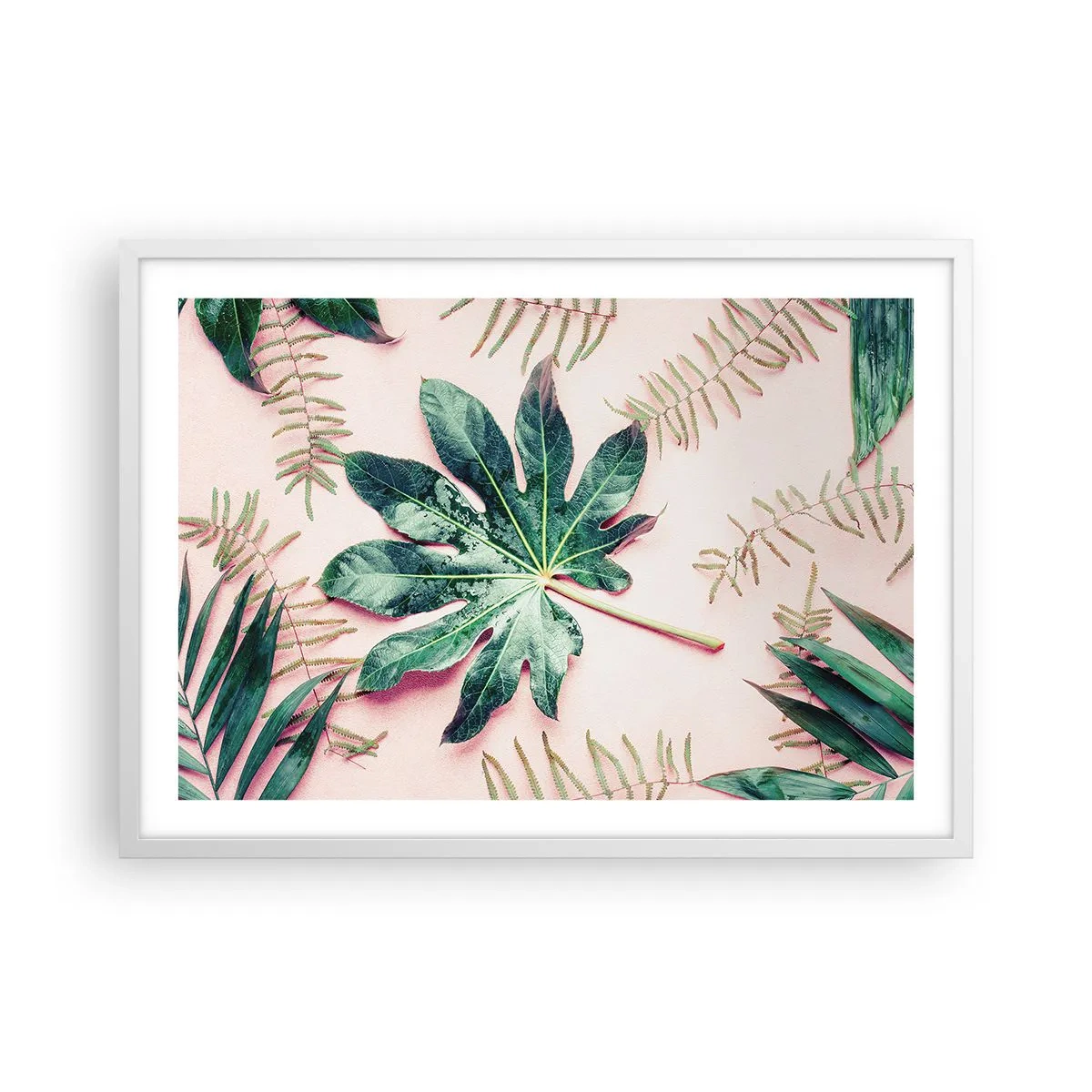 Poster in white frmae - Study in Green on Pink Background - 70x50 cm